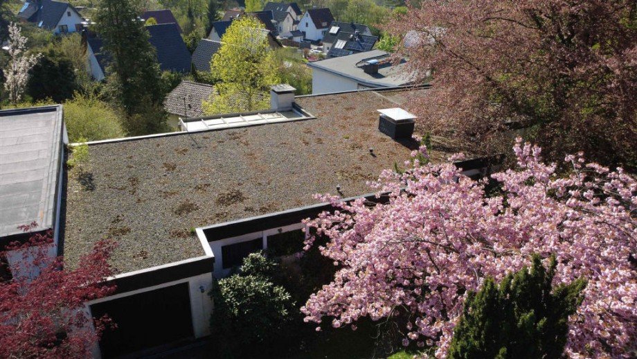 Bild4 Einfamilienhaus Detmold