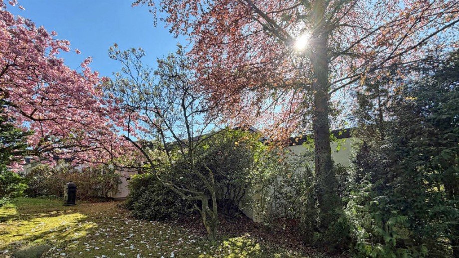 Bild3 Einfamilienhaus Detmold